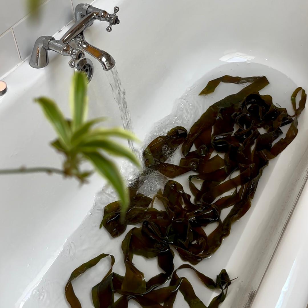Organic Mineral Rich Wild Seaweed Bath