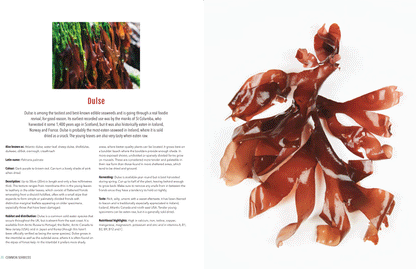 The Seaweed Cookbook