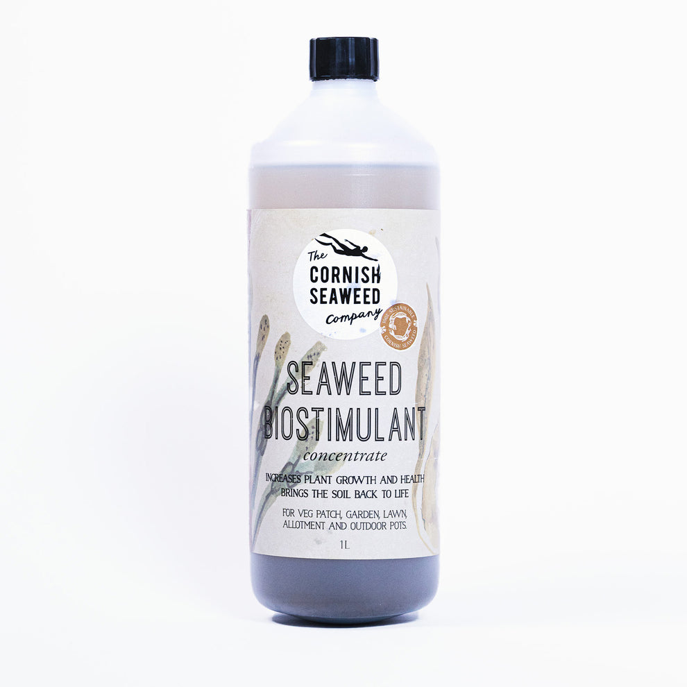 Seaweed Fertiliser - 1L – Cornish Seaweed